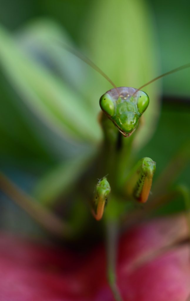 vivere a contatto con la natura, contemplando e rispettando le meraviglie che mi regala