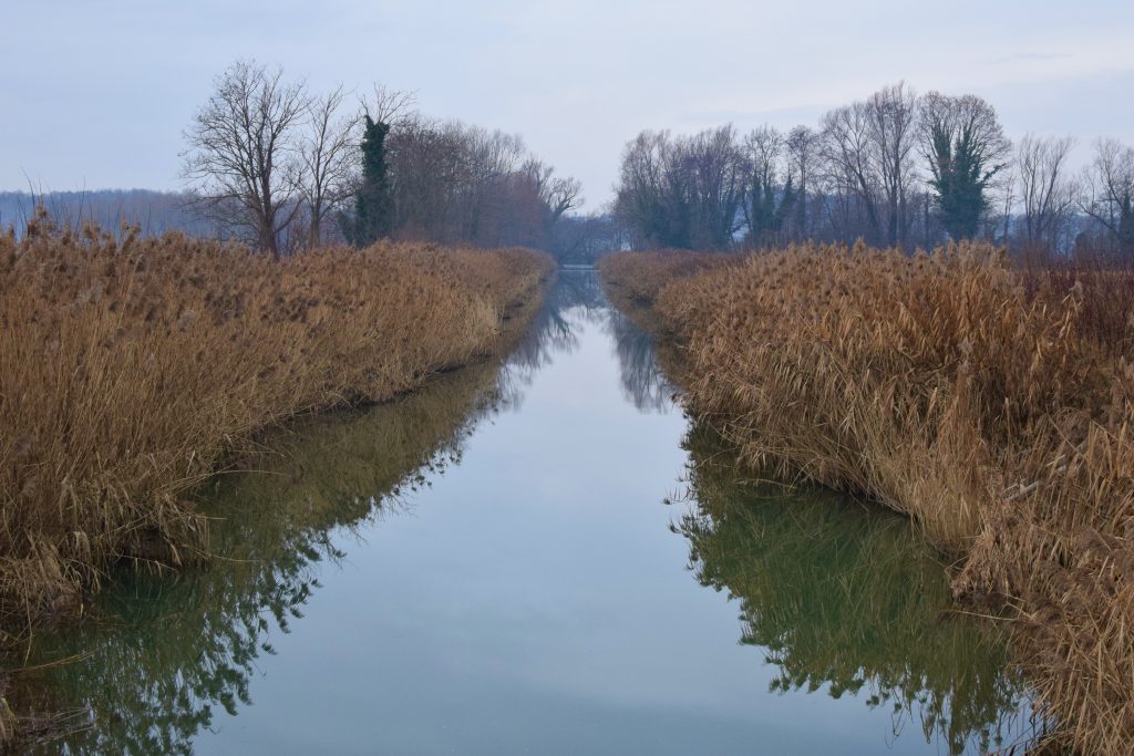 concedermi attimi di silenzio e pace, immerso nella natura incontaminata delle campagne della mia Regione.