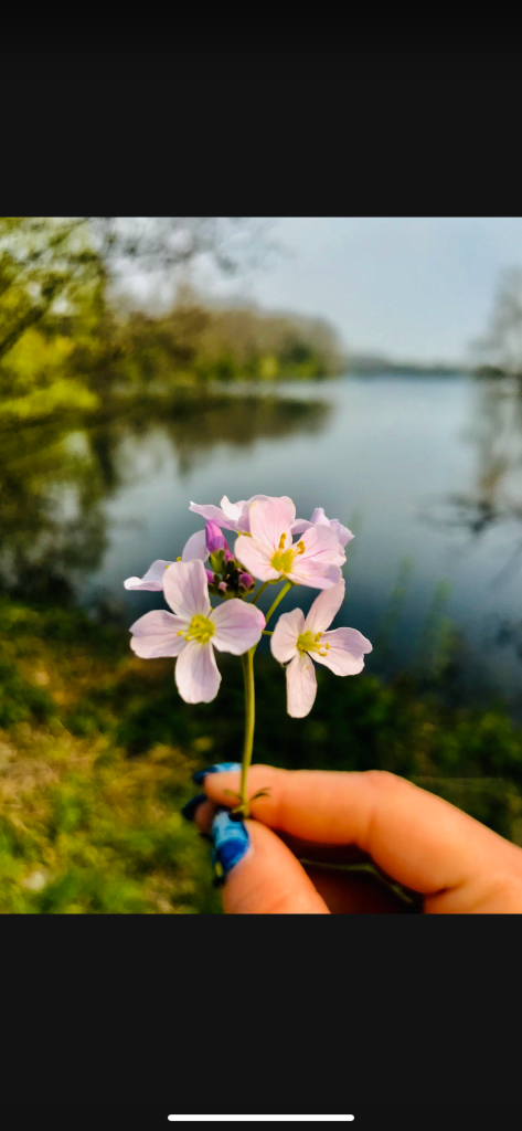 Il mio benessere è ammirare la bellezza della natura