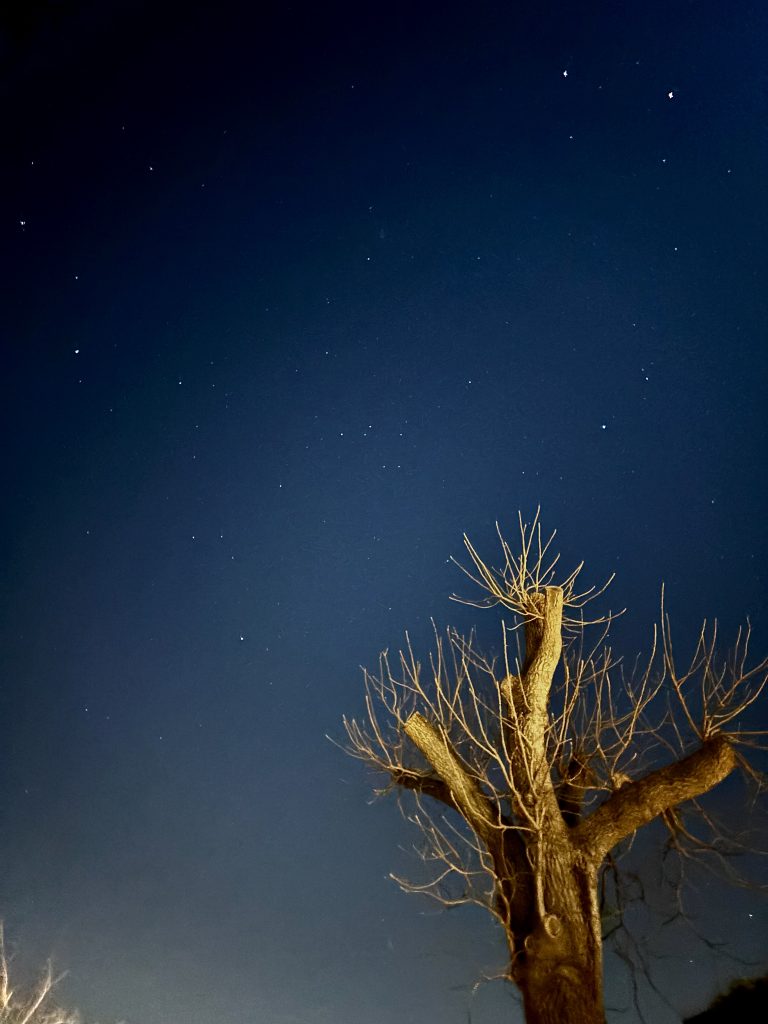 Ammirare il cielo stellato in mezzo ai vigneti di Soave ✨❤️