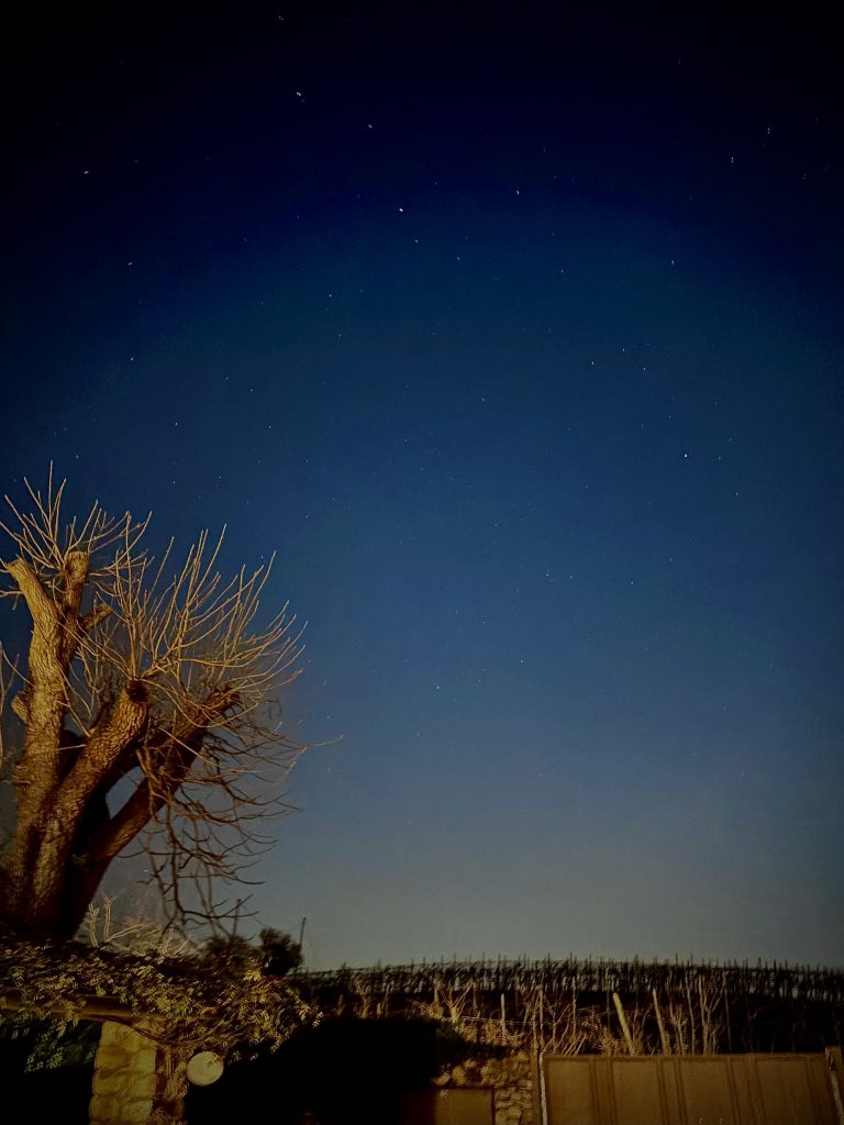 Relax sotto le stelle nei vigneti