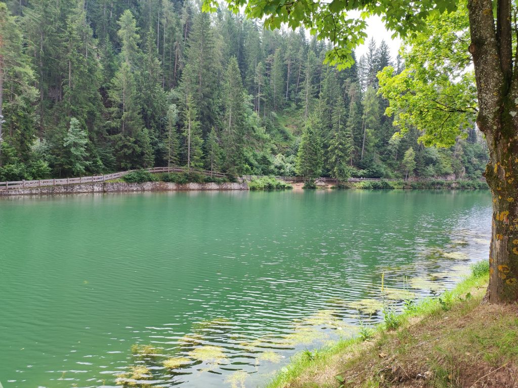 Rilassarmi sulle rive del lago Smeraldo, nel silenzio della natura, ascoltando il cinguettio degli uccellini e ammirando gli scoiattoli divertirsi sugli alberi. Senza inquinamento, senza plastica, senza rumori.