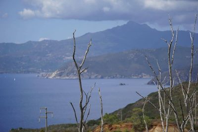Isola Elba - foto Elisa Gonfiantini