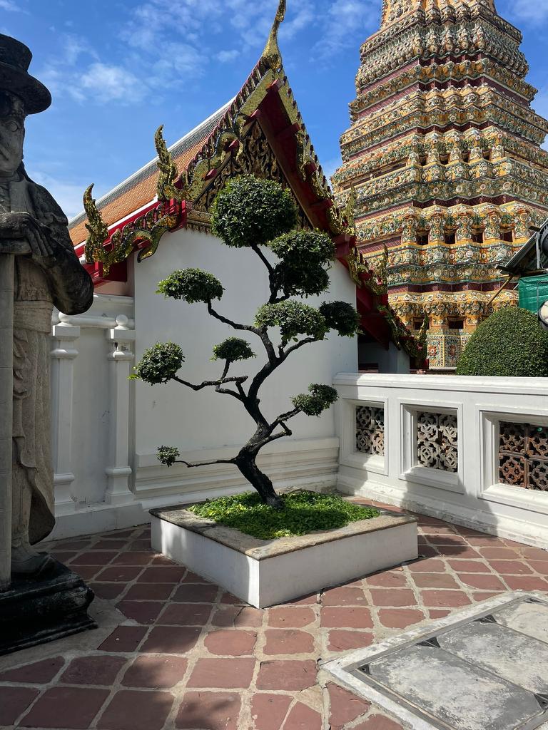 Visitare posti benefici per l'anima e corpo