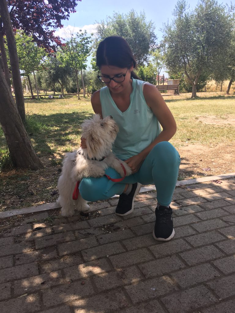 Stare al parco con gli animali :)