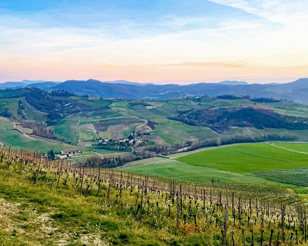 Camminare ogni giorno è uno dei modi più semplici e naturali per prendersi cura di sé. Nell'Oltrepò Pavese, tra colline, vigneti e borghi pittoreschi, una passeggiata diventa un vero e proprio trattamento di benessere. Aria pulita, panorami rilassanti e un ritmo lento aiutano corpo e mente a
ritrovare equilibrio.