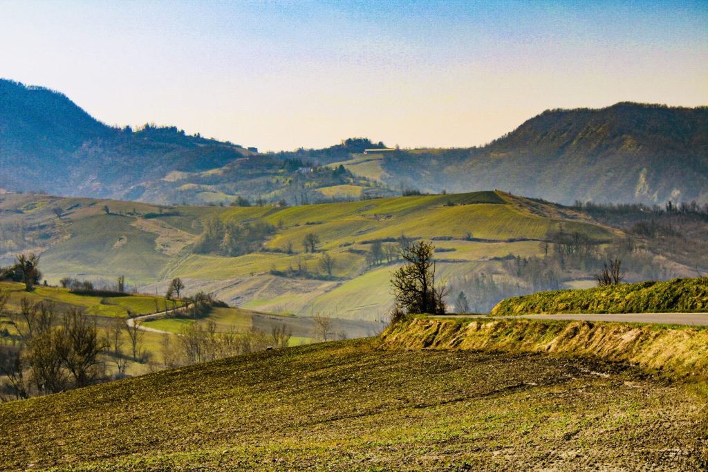 Mindful walking. Passeggiare in mezzo alla natura senza meta, lasciandomi guidare dall’ispirazione del momento per distrarre la mente dai soliti pensieri