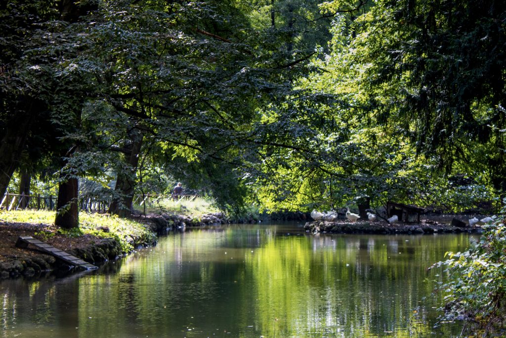 Una lunga passeggiata in mezzo alla natura…. offre numerosi benefici, tra cui il miglioramento della salute cardiovascolare, il controllo del peso corporeo, il rinforzo di muscoli e ossa e il supporto alla salute mentale riducendo lo stress
