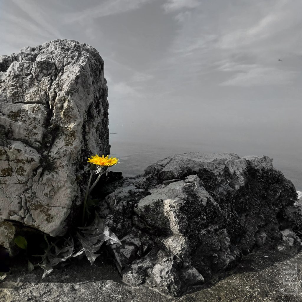 Superare le avversità della vita e tornare ad essere più forte di prima