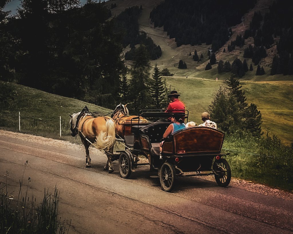 Relax… La tranquillità del movimento della carrozza, il suono degli zoccoli e l'aria aperta contribuiscono a un'esperienza rigenerante e all'insegna del benessere.