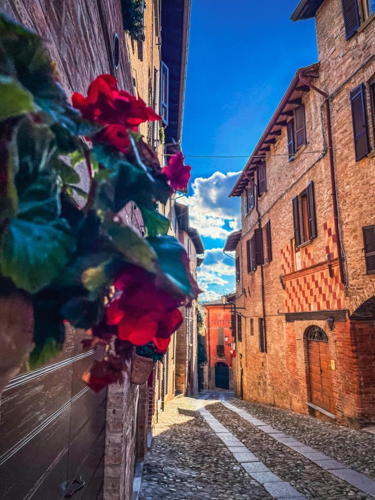 Fare trekking urbano…. è un modo di visitare le città unendo sport e benessere culturale. Mentre cammino mi lascio alle spalle ansie e stress ed entro in contatto con l’ambiente che mi circonda