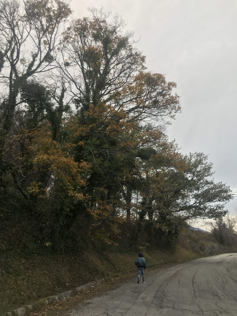 Ammirare le bellezze della natura