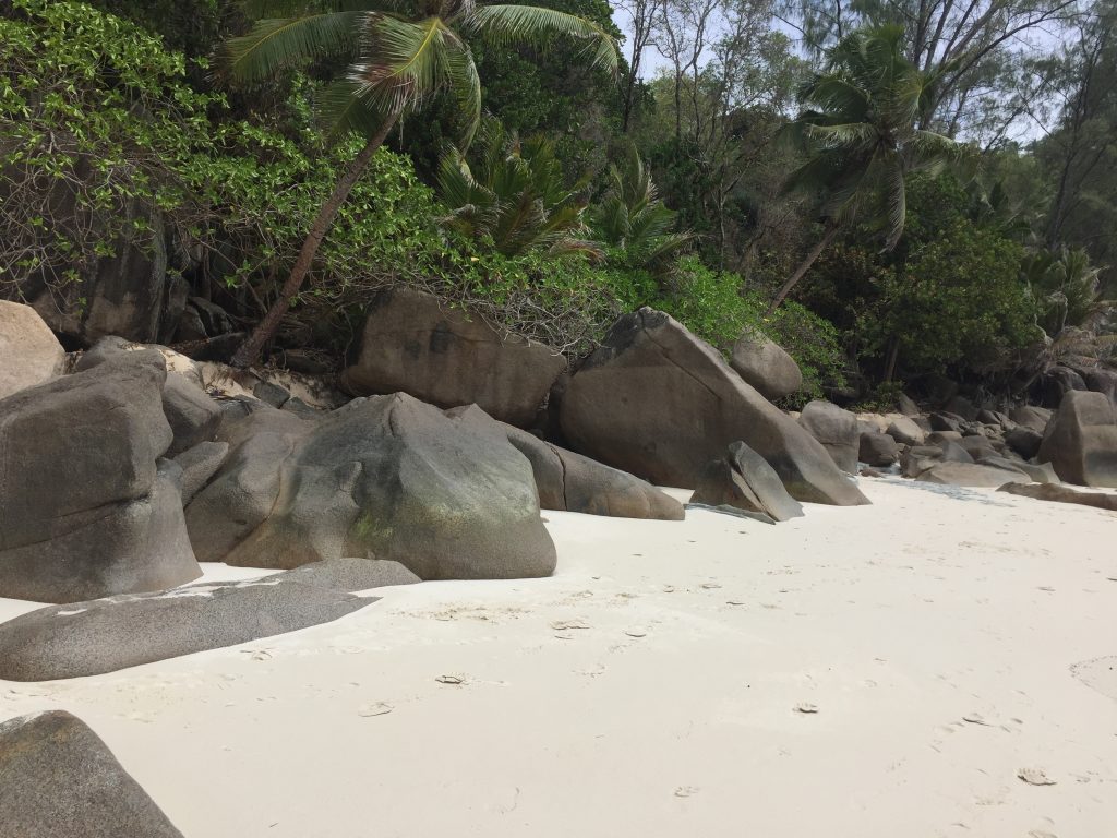 vivere in un ambiente incontaminato a contatto con la natura