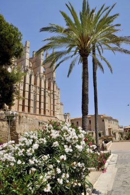 MSC Crociere Cattedrale Palma di Maiorca