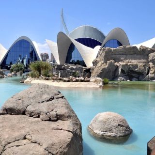 MSC_Crociere_Valencia_Oceanographic_park