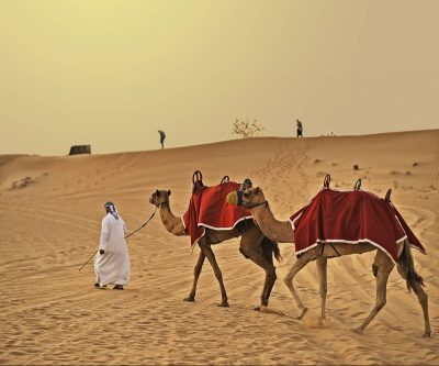 MSC Emirati Arabi Dubai