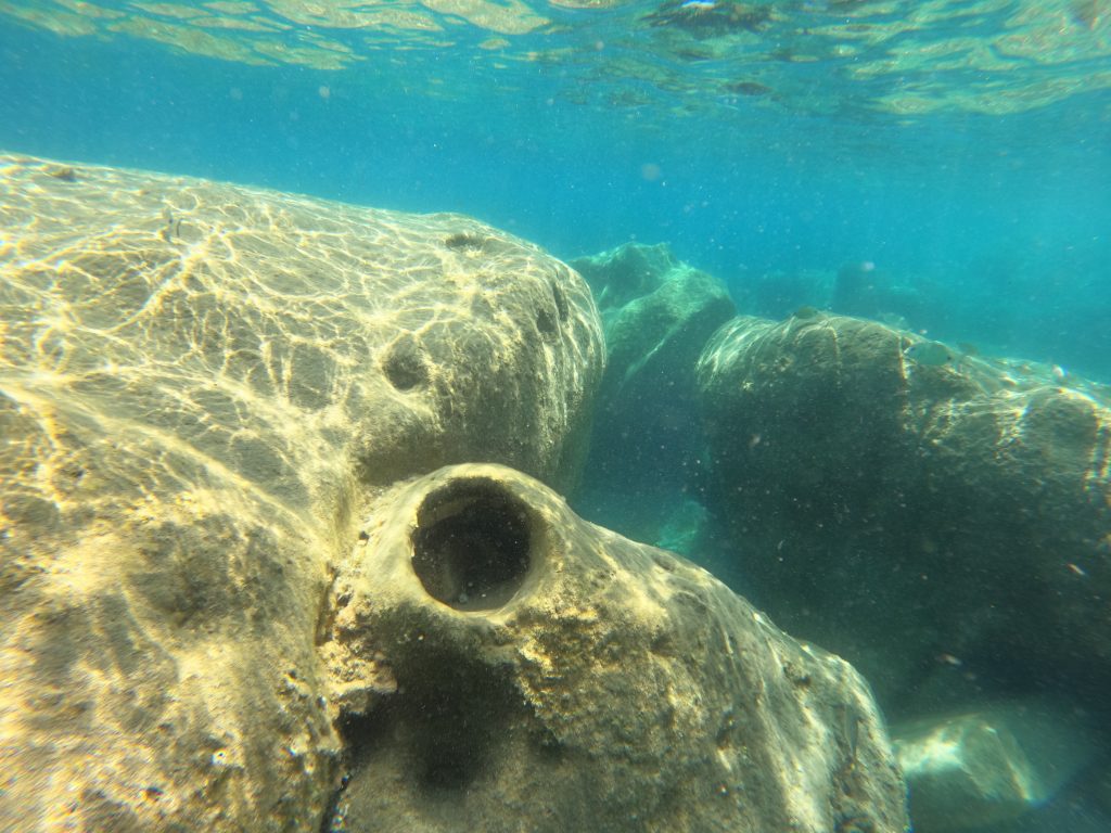 vivere forti emozioni quando sott acqua pensi alla ricchezza dei tesori che il mare gelosamente custodisce.