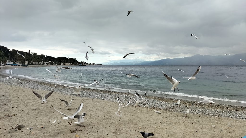 ammirare lo spettacolo dei gabbiani che volano in riva al mare creando magiche coreografie.