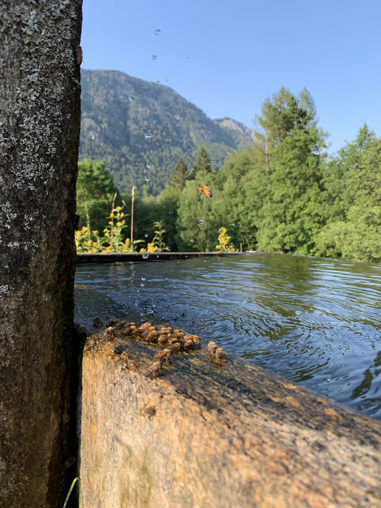 Camminare lentamente e godere della bellezza della natura.