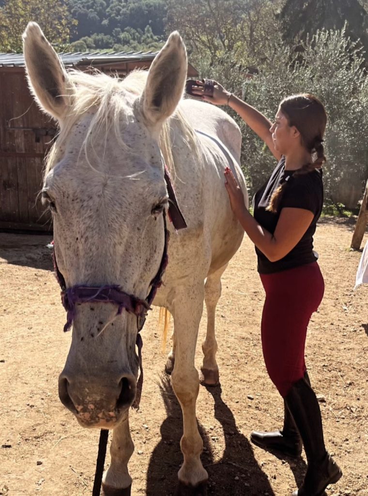 Il benessere del mio cavallo è il riflesso del mio: quando lui sta bene, io ritrovo pace, equilibrio e forza. Insieme impariamo ogni giorno che l’armonia nasce dal rispetto, dalla fiducia e da un legame sincero.