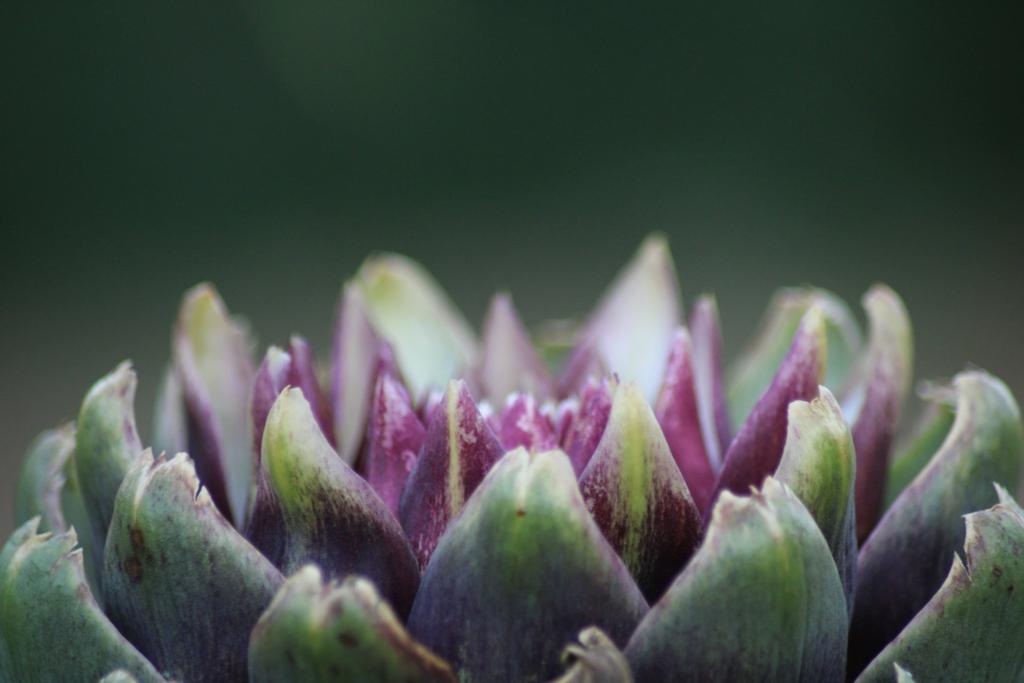 Prendermi cura del mio corpo