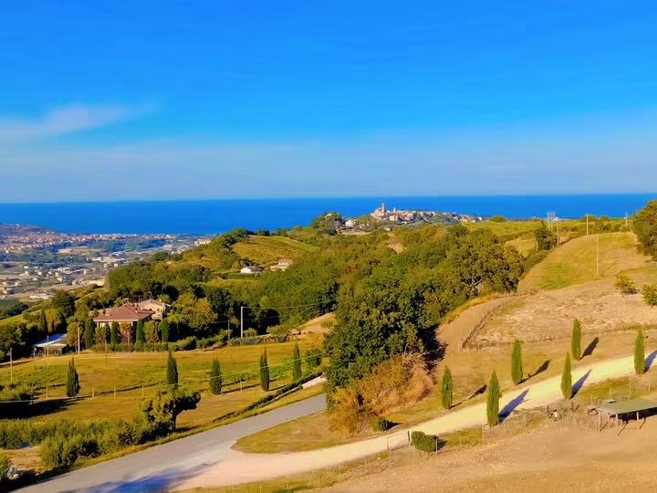...fare una passeggiata proprio vicino casa in semplicità e scattare una foto al paesaggio che improvvisamente continua a stupirmi ad ogni stagione.