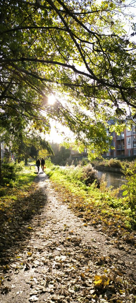 Camminare in autunno lungo un canale mentre cadono le foglie