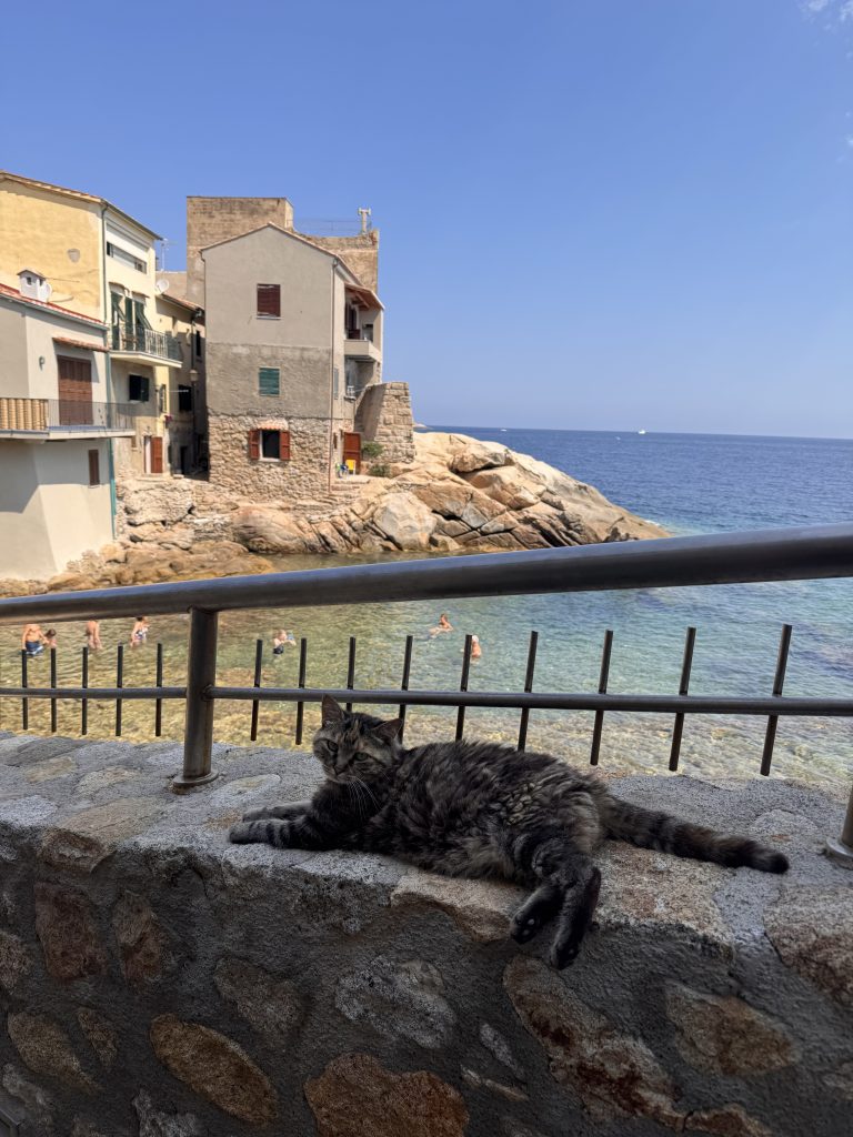 Vivi e … lascia vivere!