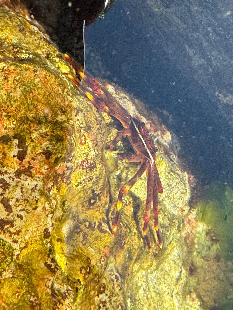 Entrare in contatto con le meraviglie della natura. Osservare le meraviglie del creato.