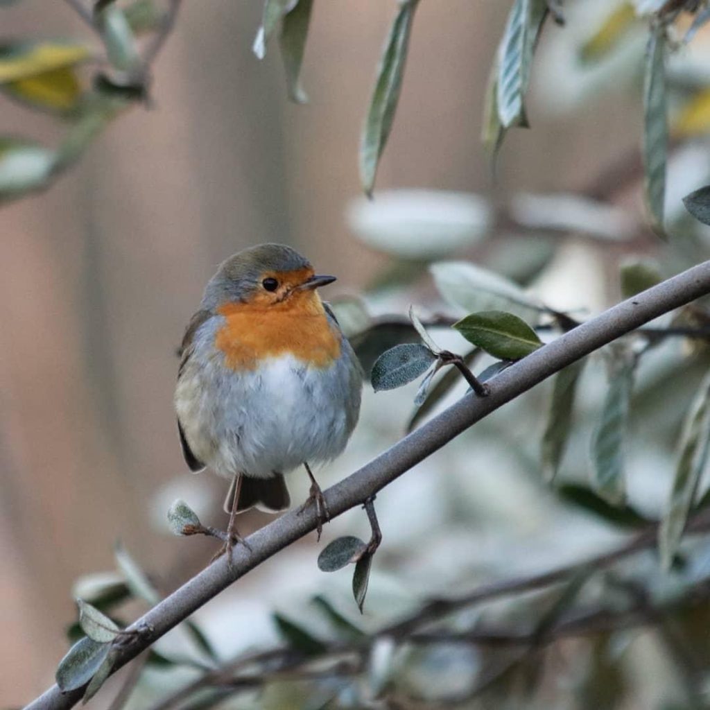 Entrare in contatto con le meraviglie della natura