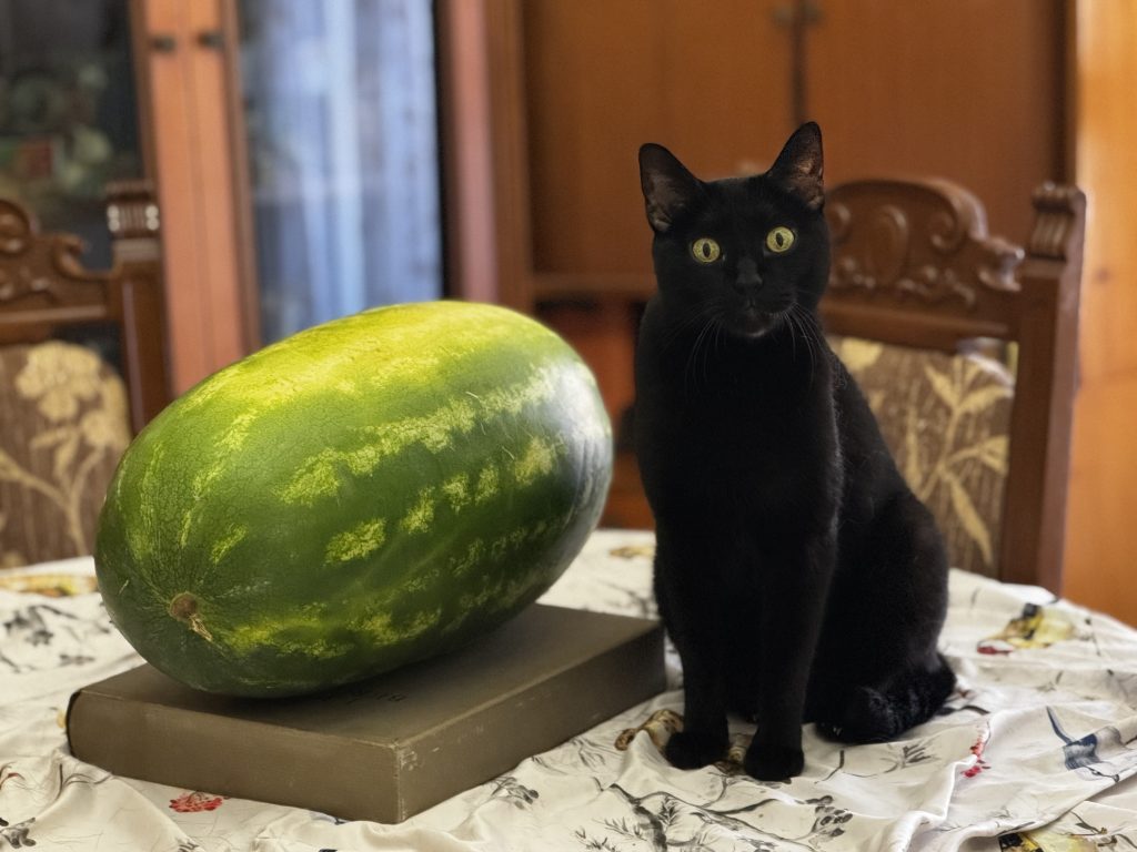 Prendermi cura di me stessa con ciò che offre la natura per trasmettere a mia volta l’equilibrio e serenità ad altri esseri viventi, con le parole ma anche solo con il cuore.