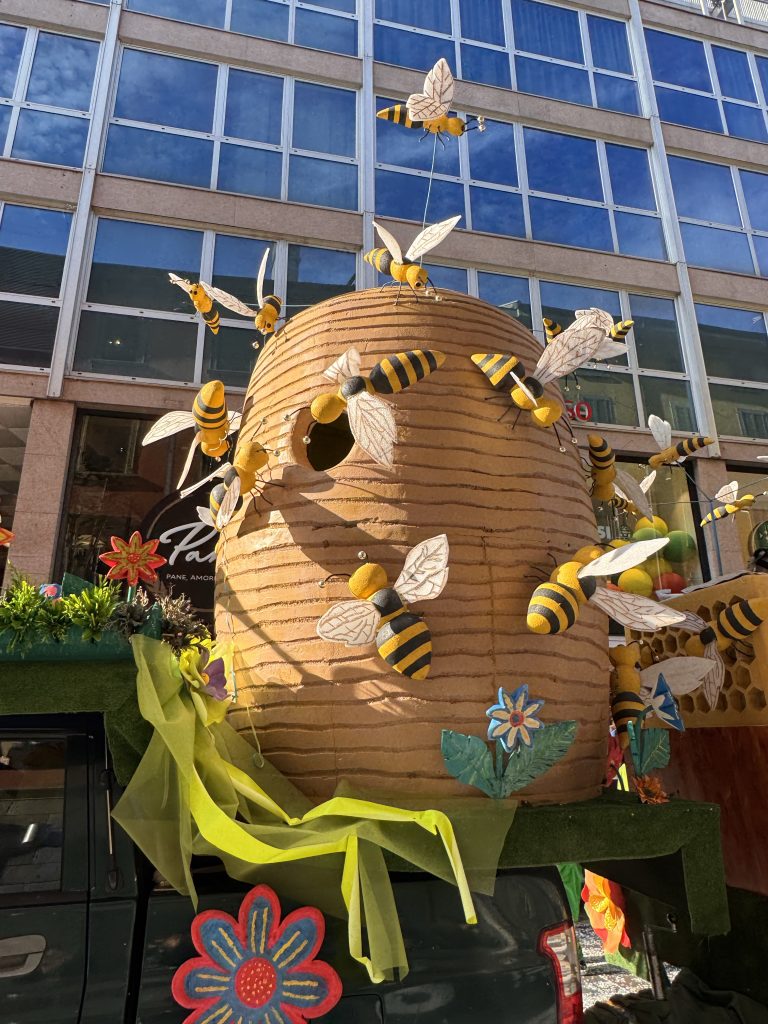 Rispettare la natura e collaborare a rendere il mondo migliore