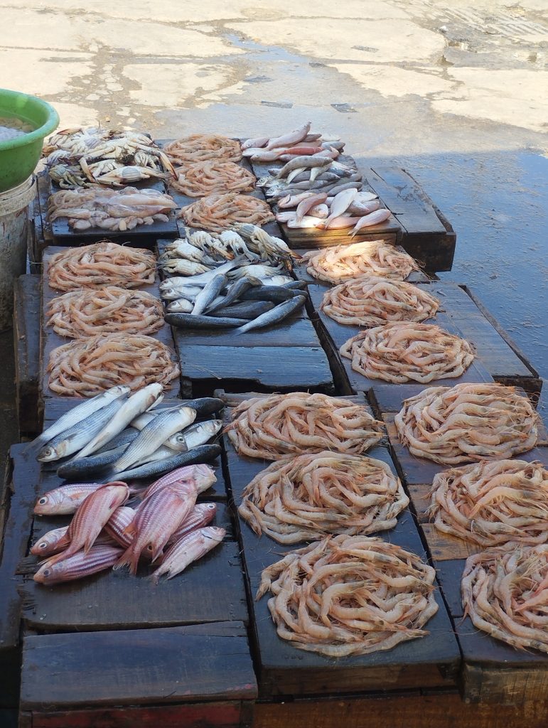 osservare il pescato ed immaginare il risultato di una fantastica ricetta.