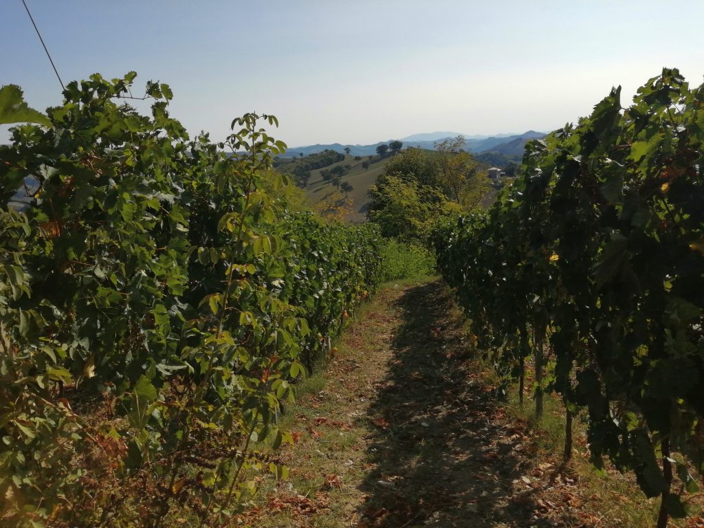 seguire viali nella natura, ascoltare il silenzio.