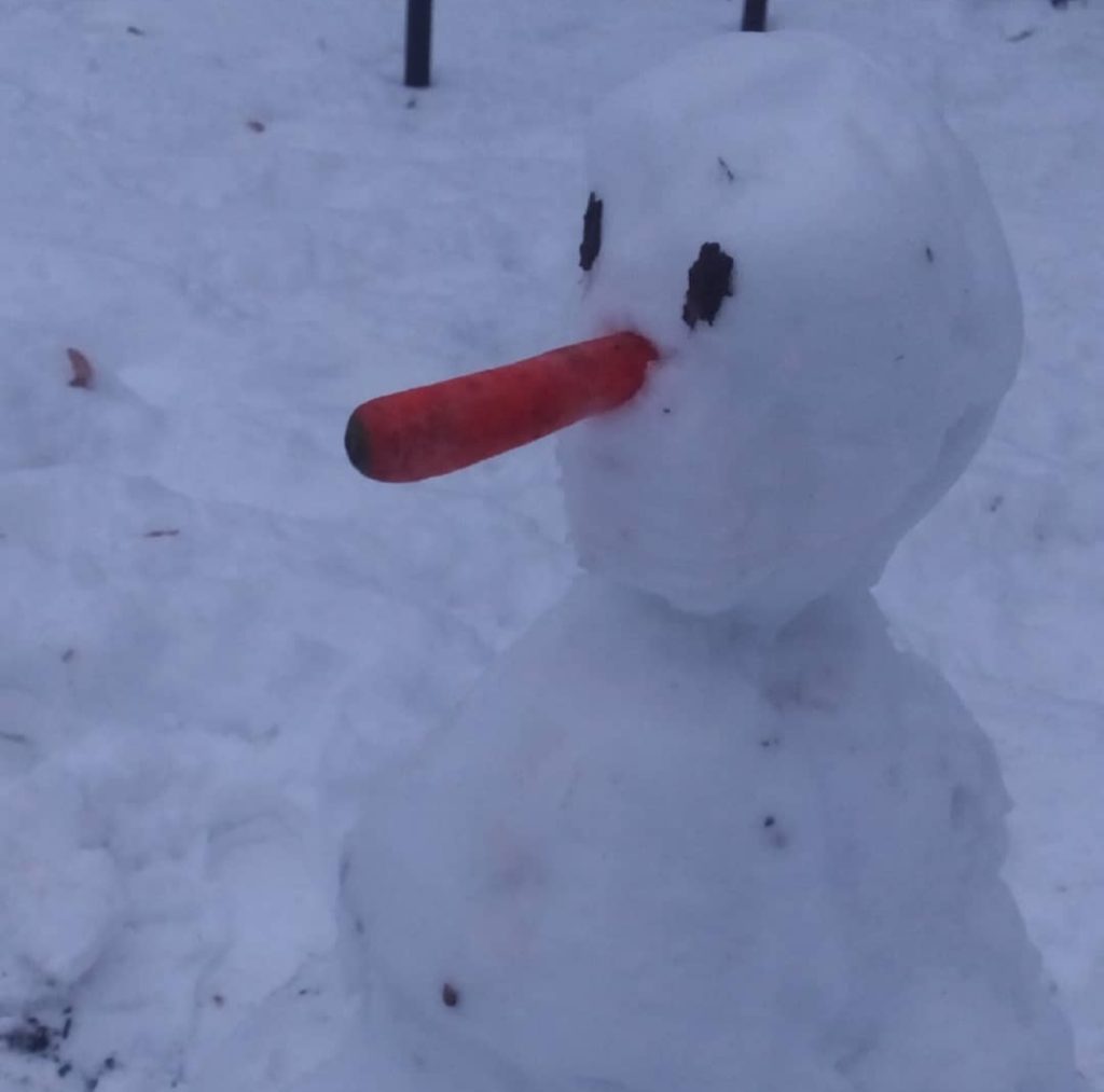 osservare, stupito, il paesaggio invernale.