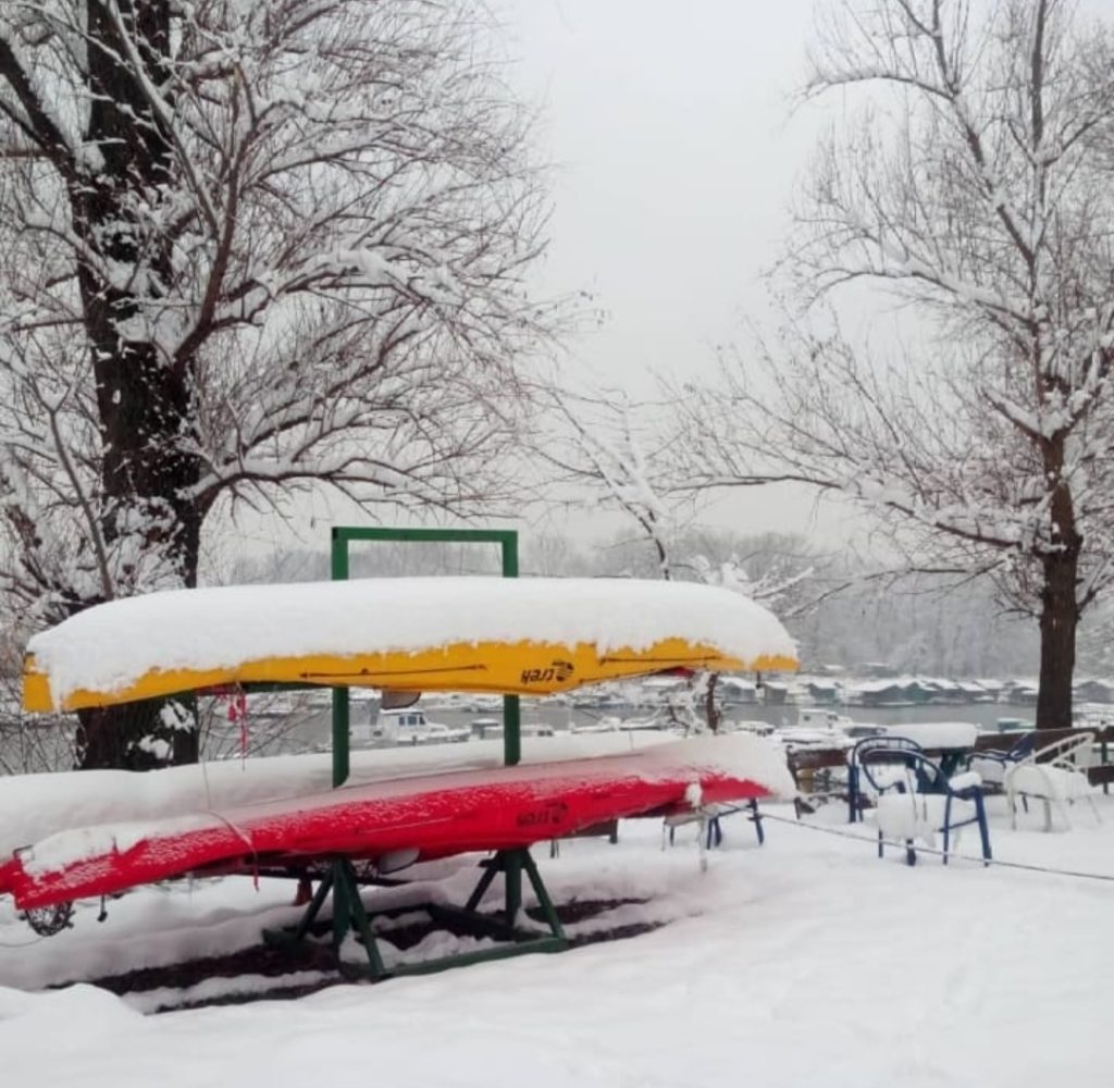 osservare la natura, e lo sport, in letargo.