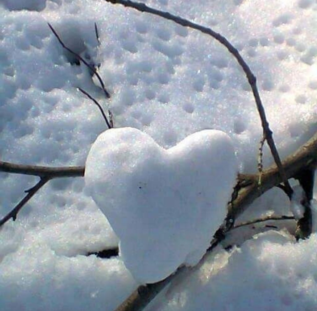 la natura e l'amore.