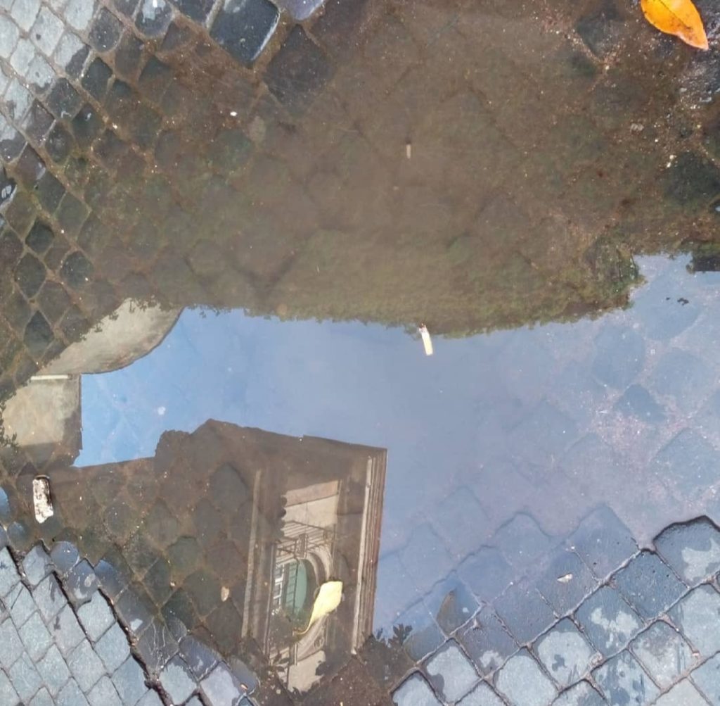 cercare la bellezza ovunque, anche quella riflessa in una pozzanghera.