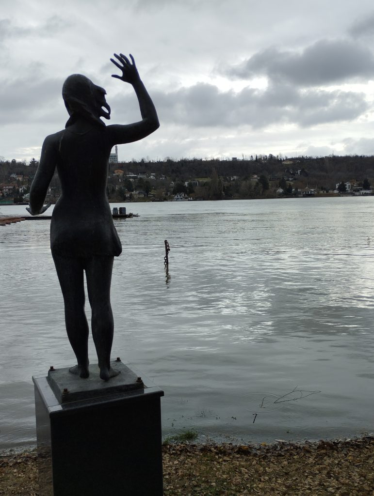 La quiete dopo la tempesta: osservare il grande Danubio dopo giorni di tempesta.