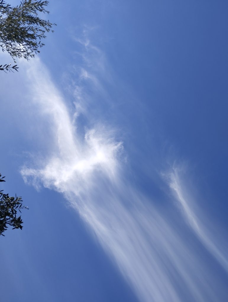 osservare il cielo e le nuvole seguendo le forme che si creano, che cambiano, grazie al vento.