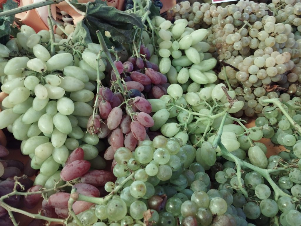 immaginare i sapori del territorio.