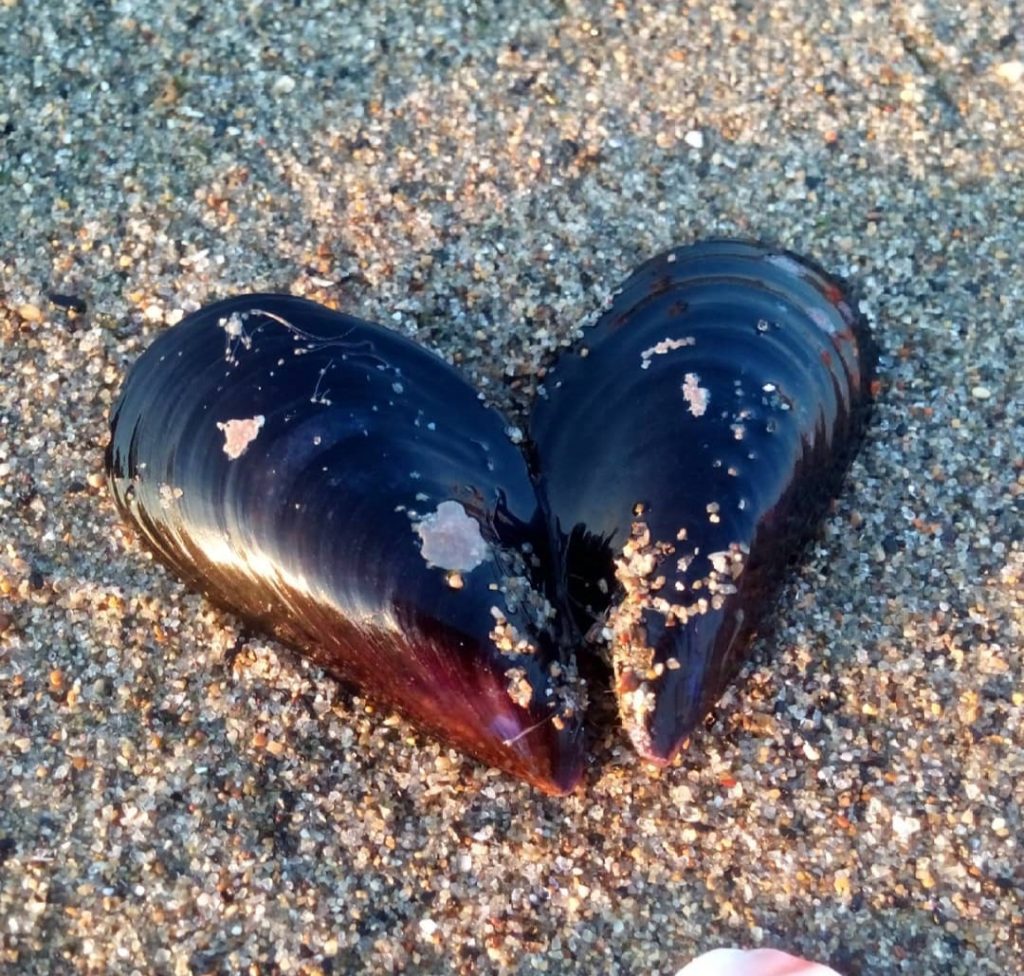 camminare sulla sabbia e scoprire le cose importanti della vita.