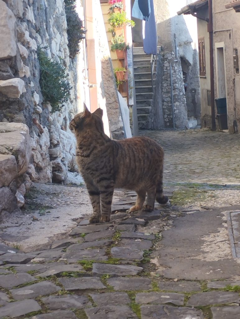 perdermi tra i vicoli