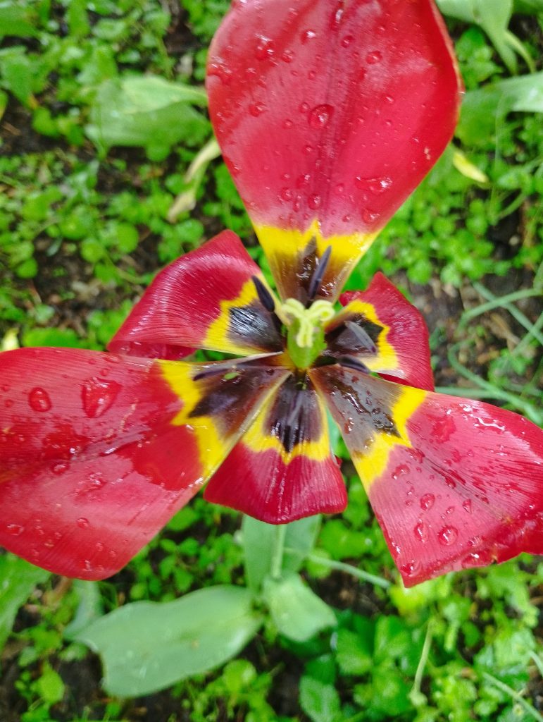 incantarmi davanti alle meraviglie della natura.