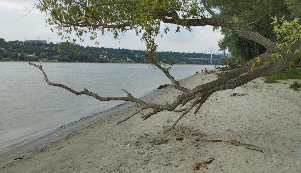 passeggiare, percorrendo il lungo Danubio, nella spiaggia riservata agli animali. Mi ricongiungo alla natura punto di inizio e di equilibrio.