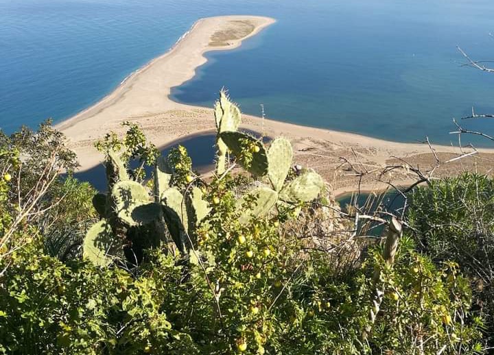 Stare a contatto con la natura e ritrovare la pace in me stessa