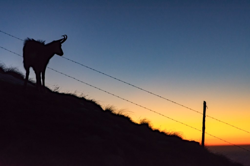 Essere il più possibile a contatto con la natura