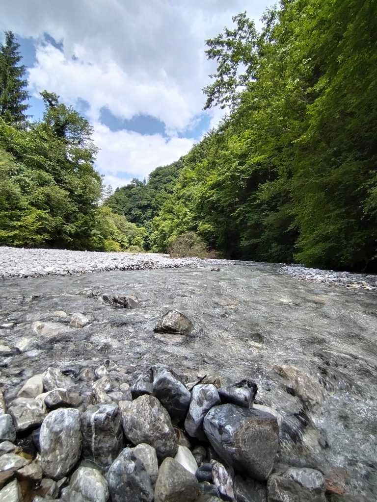 Immergermi nella natura incontaminata e sentirmi parte di essa. Libera di esistere nella sua perfezione, senza modifiche da parte dell'uomo, che spesso la trasformano stravolgendo la sua originaria bellezza. Sapere che esiste ancora un luogo come questo, mi fa sperare in un futuro migliore per i miei figli. Sono felice di avere visitato questo luogo magico con loro.