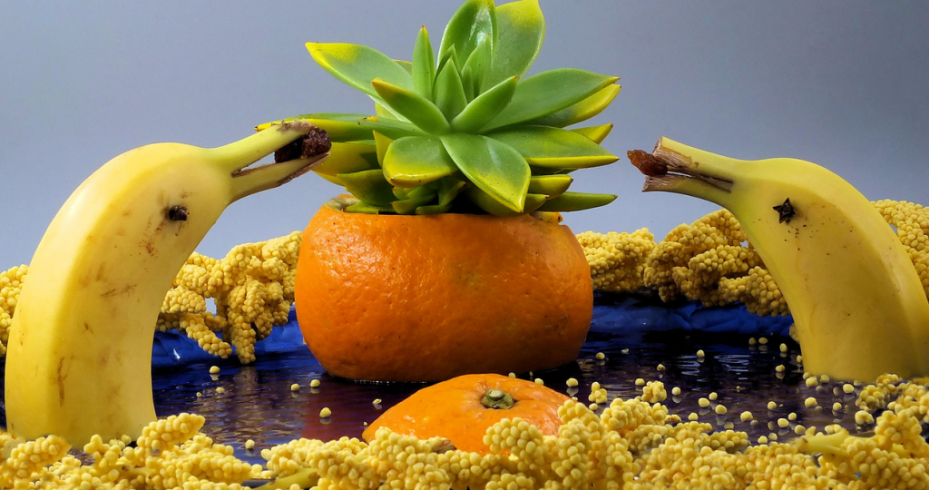 prendermi cura dei miei nipotini iniziando dalla loro alimentazione, cercare stratagemmi per fargli mangiare la frutta, importantissima per la loro crescita. Ecco L’Isola che non c’è…