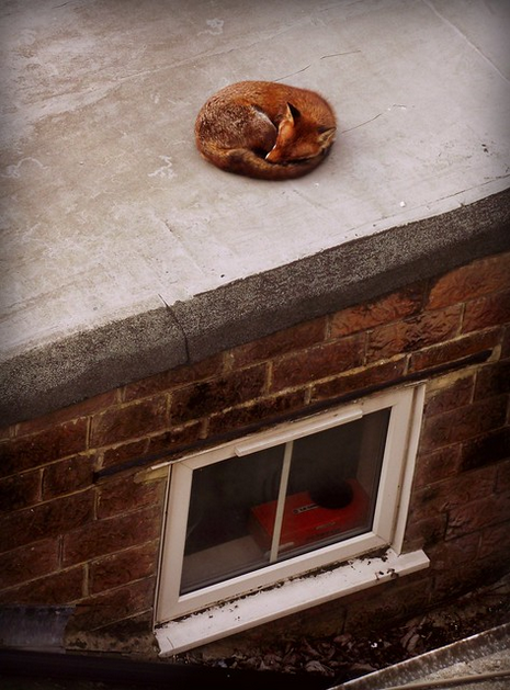 un incontro speciale, bellissimo e surreale...